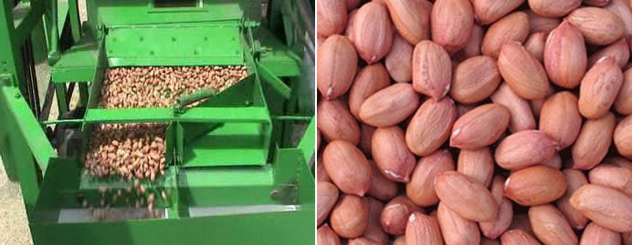 Peanut Shelling Machine