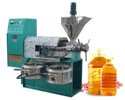 6YL-100A Peanut Oil Press