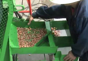 Peanut Roasting Machine