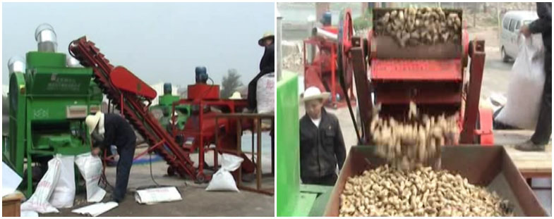 Peanut Shelling Machine Video
