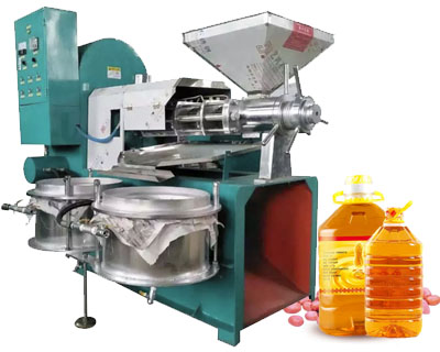 6YL-160A Peanut Oil Press