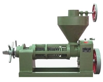 6YL 95 Peanut Oil Press