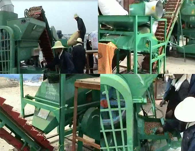 Peanut shelling machine